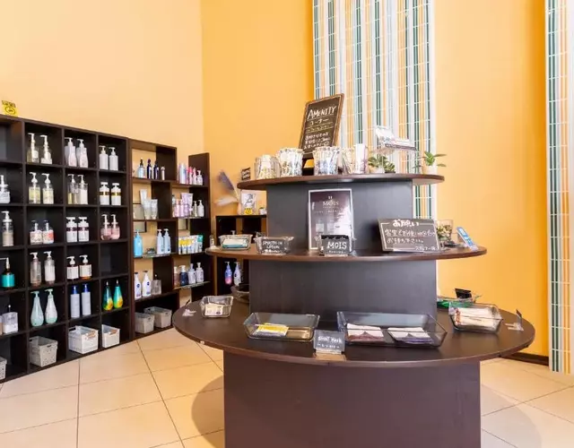 HOTEL Villamure Ogori -ADULT ONLY-