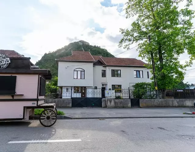 Vila Mihu Cetate