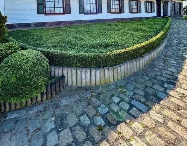 't Reigergoed