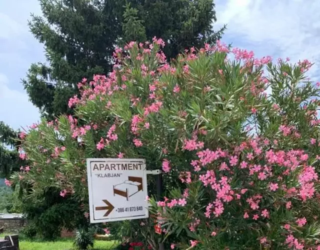 Apartmaji Klabjan - Kaki