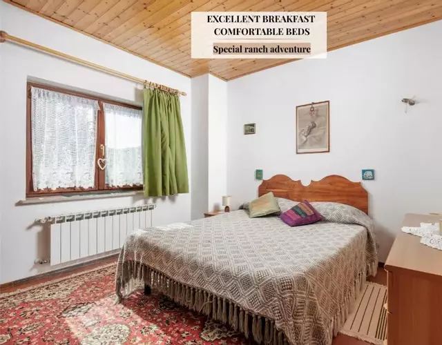 Ranč Katja in Abdul