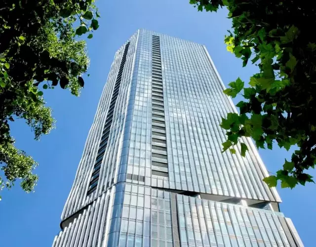 Collection at The Maddison