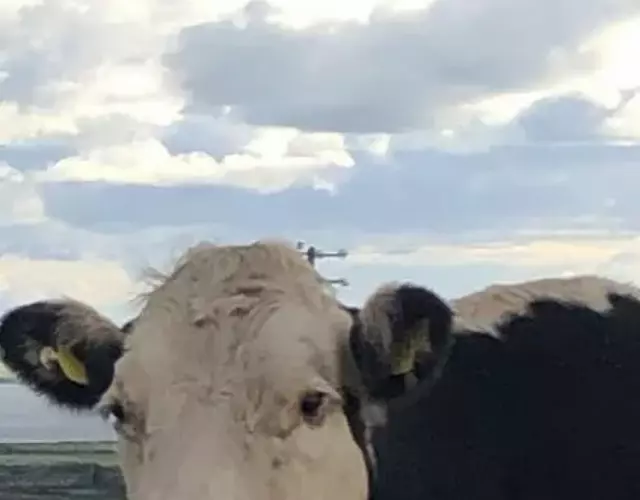 Wild Atlantic Way Apartment