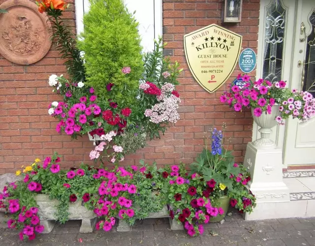 Killyon Guest House