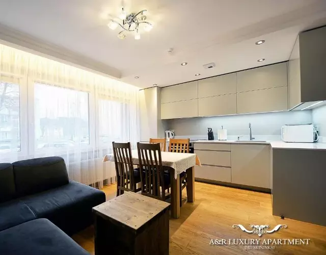 Luxury apartment Vytauto 16