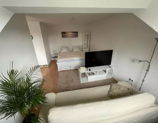 1,5 Zimmer Apartment, 38,5 qm, Multimedia TV, Uni, HBF