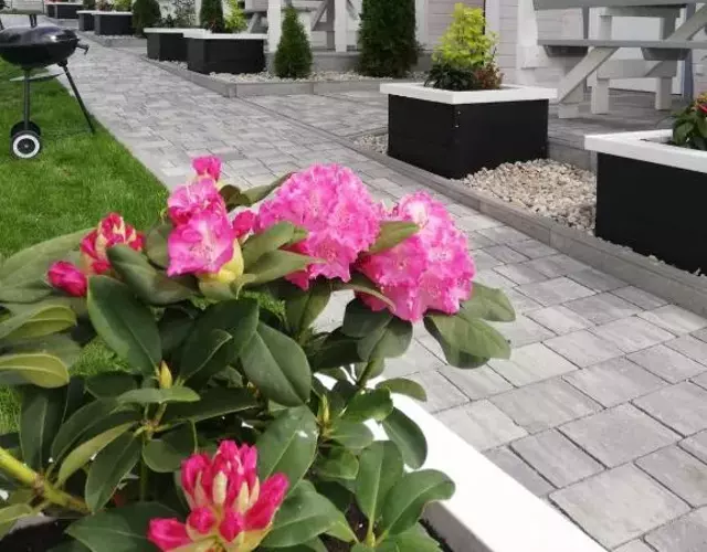 Całoroczny Ośrodek Wypoczynkowy COMFORT HOUSE