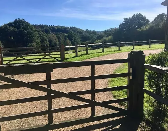 The Annex is in the beautiful Ashdown Forest