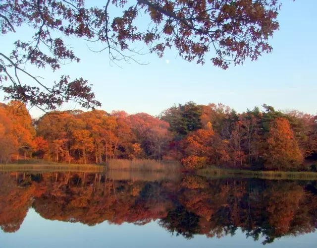 House on Chase Creek