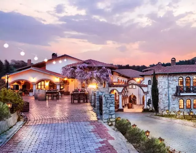 VINIFERA VINEYARDS HOTEL