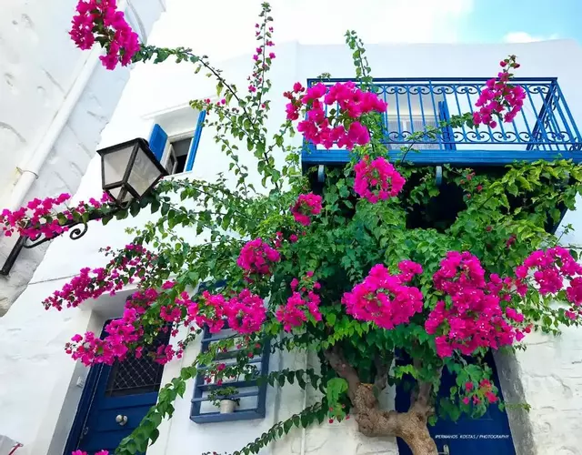 The Balcony of Bougainvillea!