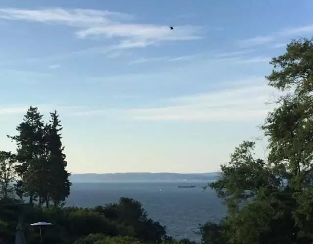 Upper Level with a view