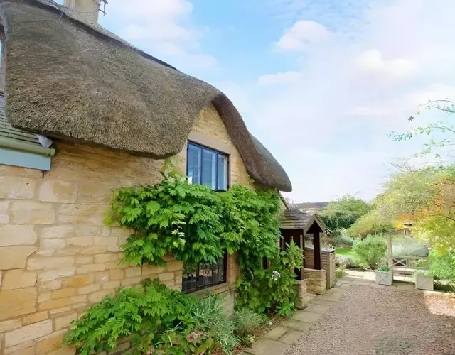 The Thatch