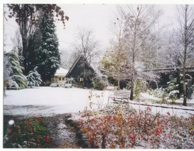 Mountain View Holiday Retreat