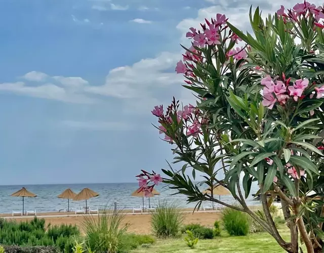 Lightness Suites by the Sea