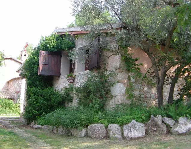 Malvarina