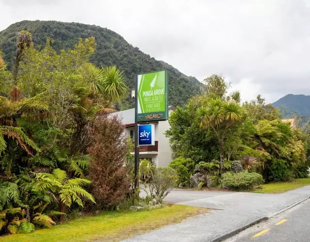 Punga Grove