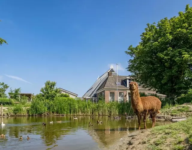 Recreatieboerderij Hoeve Noordveld