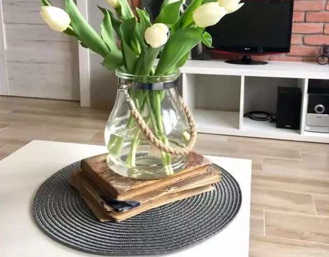 Uroczy apartament w Giżycku