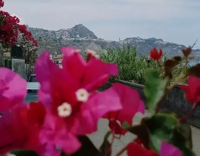 Casa Sileno Beach