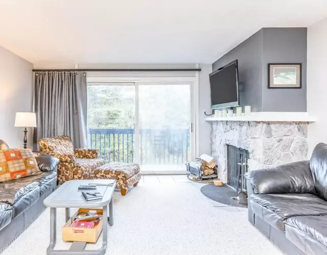 Cozy Crystal Mountain Condo