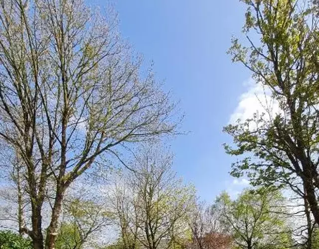 Yellow Heights Country House