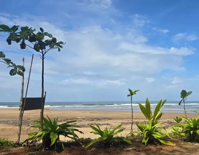 Omisha Beach Stay Gokarna