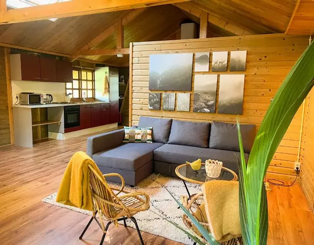 Lodge De ijsvogel bij Bolmeer Lodges