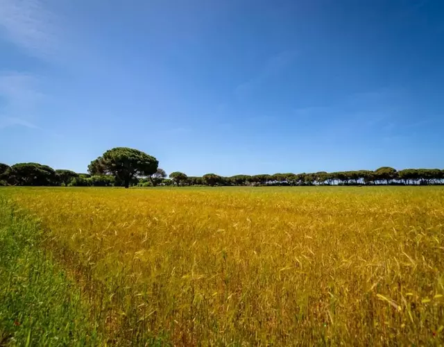 Agriturismo Bio Femminella