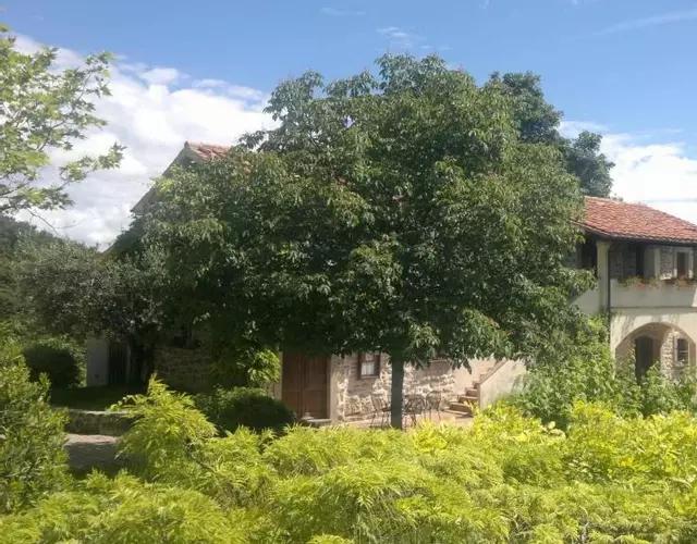 Casale degli ulivi
