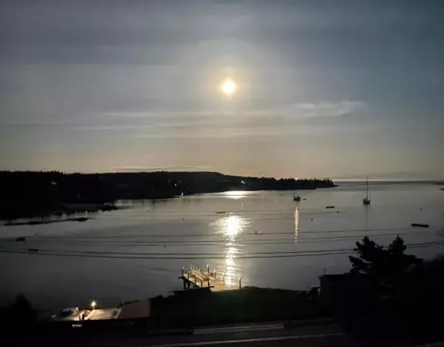 Harbours View