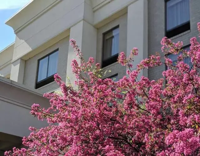 Hampton Inn & Suites Cincinnati-Union Centre