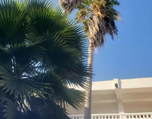 Sea Shell Palms, Ocho Rios