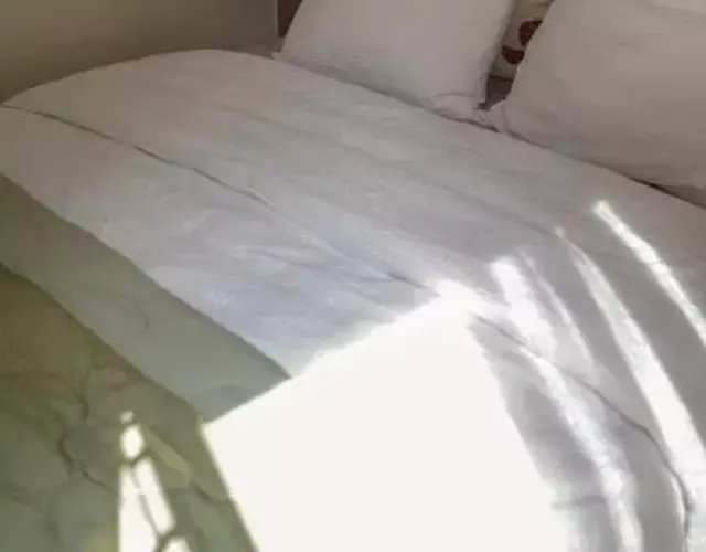 Boutique Boshuisje op de Veluwe