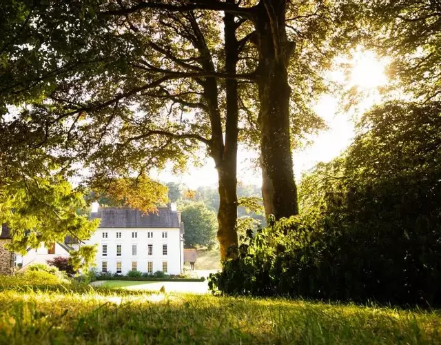 Grove of Narberth