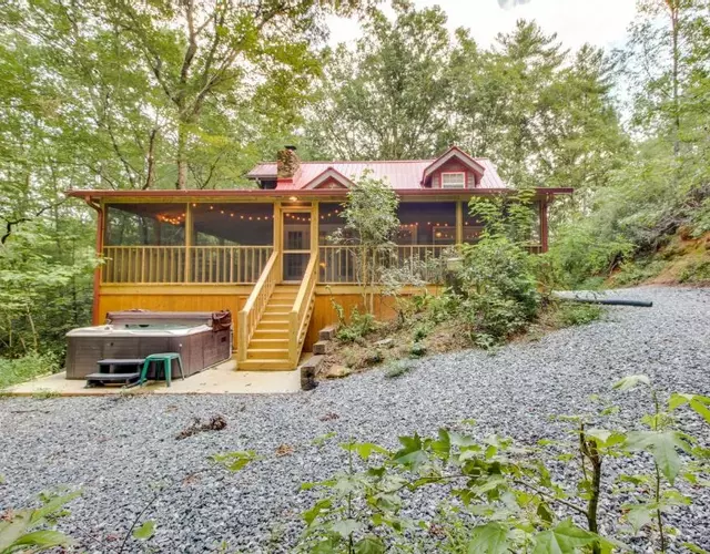 Four Cubs in the Creek