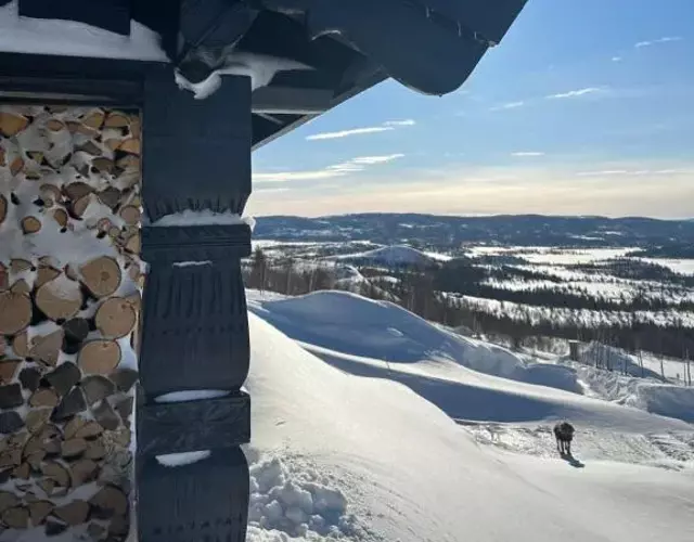 Chalet Skogshorn