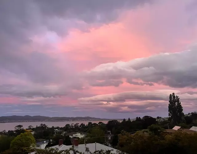 Vista Bliss