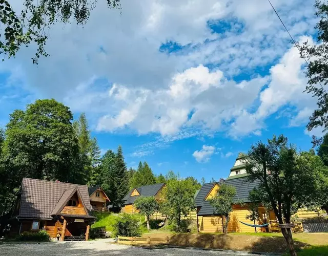 Niedźwiedziówka