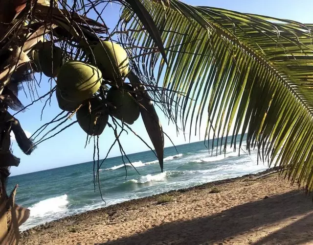 Modern, Welcoming Studio, Ocean View in Juan Dolio