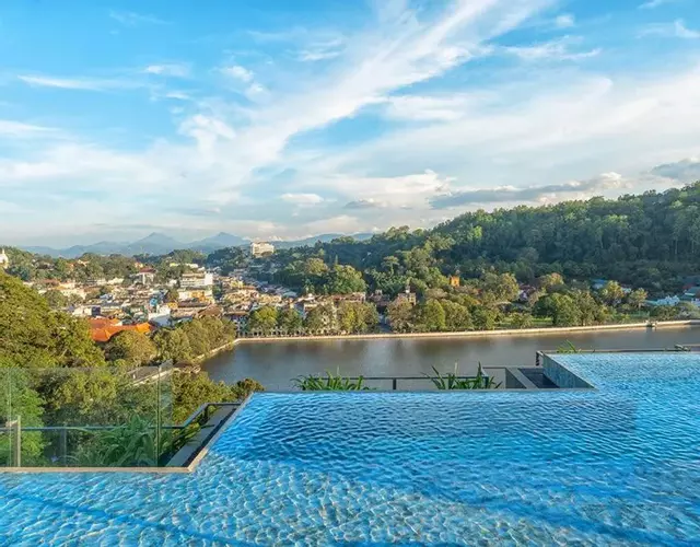 The Trees, Kandy