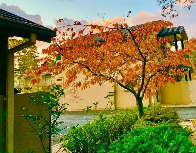 Falls Mountain Retreat Blue Mountains