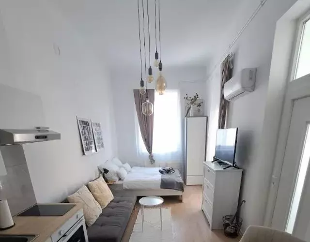 CozyCentralApartment