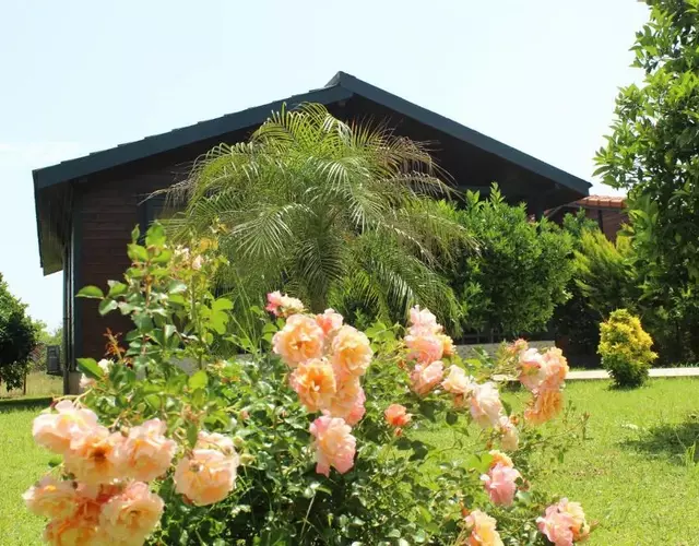 Çıralı Villa's