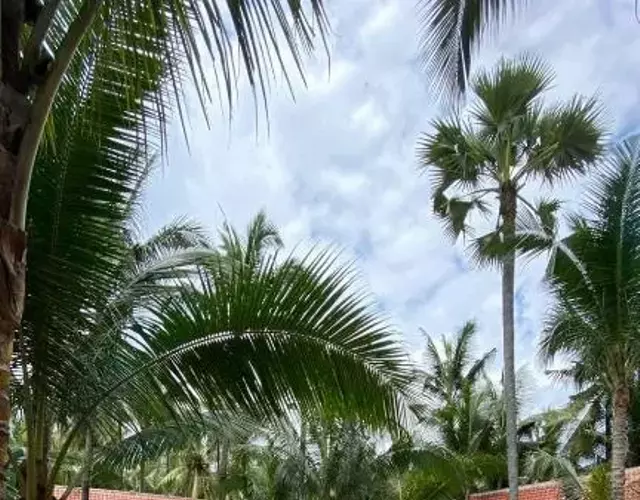 Villa Lova Sambirenteng