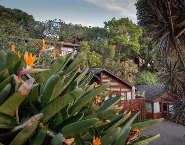 Under Milkwood Resort