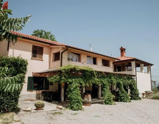 Apartmaji Pajer