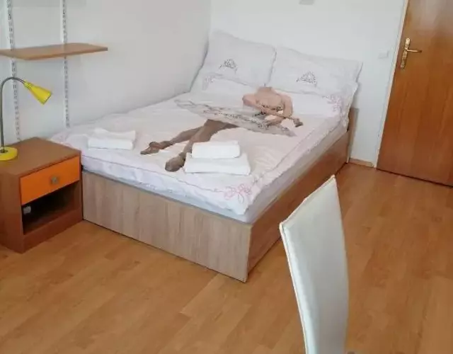 Arena stožice rooms
