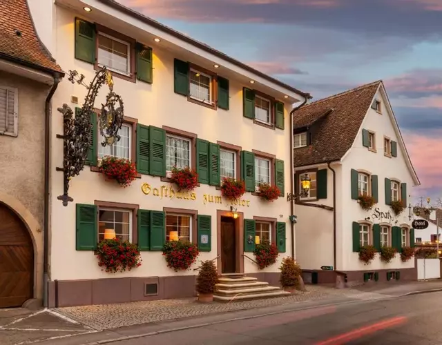 Hotel Adler - Weil am Rhein