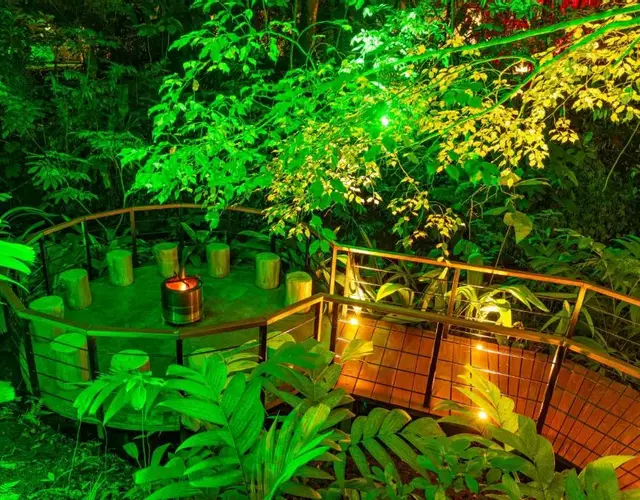 Noah's Forest Hotel by Tifakara